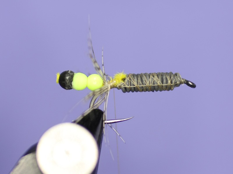 Cased Caddisfly Nymph How to tie fly, Fly tying Step by Step Patterns